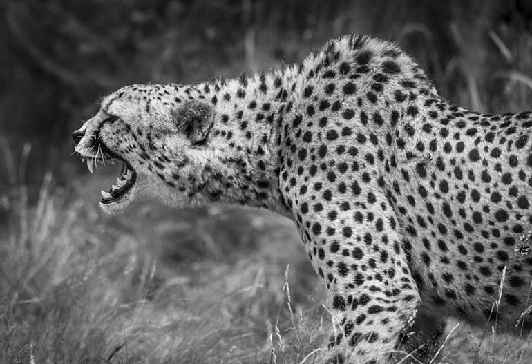 梯田晨雾